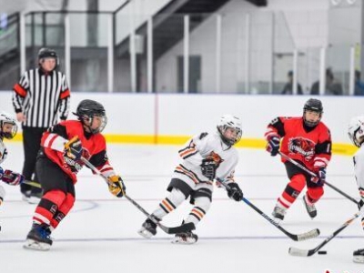 �����������Ոِ���������ݡ����c�𡱼���