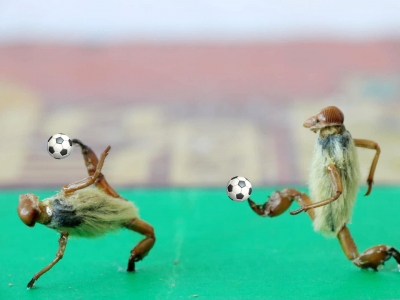 �á����暤�������籭 �ΑB(t��i)�������˷Q(ch��ng)��