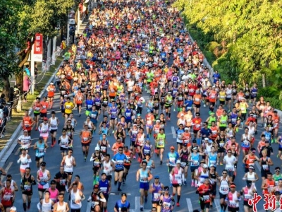 2019�V���R����ِ�Q���_(k��i)��