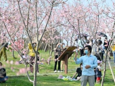 ����r��ʢ�_(k��i)   ���������ο��v���^(gu��n)��