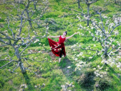 ������ˮ���ٮ��滨����`�� ������������