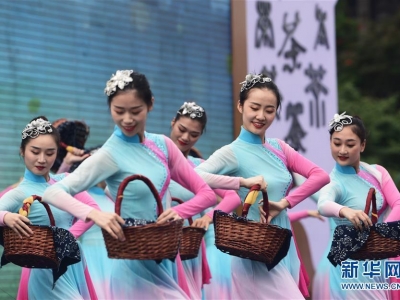 �ؑc�����������(l��i)����