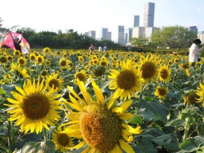 ���S���ܡ����θ��ݻ���