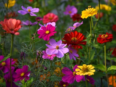 �����A���@�����վո�����ʢ�_(k��i) ���涷�G��ɫ����