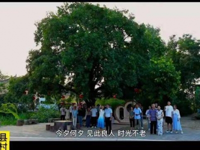 ���S�hһ�Ř�(sh��)��������ҕ��Ϧ���(hu�� )