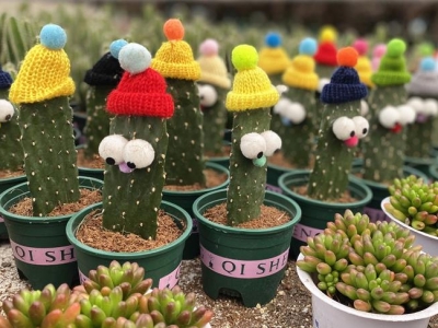 �M���l������ġ������(j��ng)��